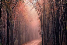 500万彩票网首页都有哪些功能和特点？