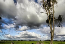 2024欧洲杯8强赛程如何安排？强强对决有哪些看点？