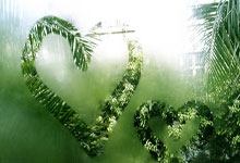 哪里能看AC米兰的直播？看米兰比赛直播有哪些实用技巧？